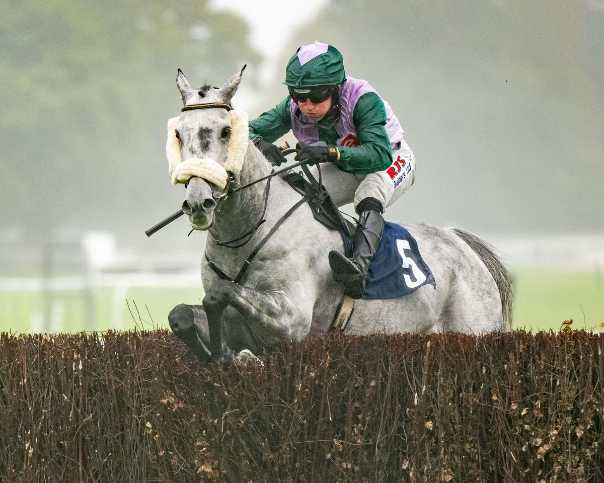 FontwellPark's tweet photo. Race 1 Result: The @V2RadioSussex Conditional Jockeys’ Handicap Steeple Chase
🏆 Of Course I Can
Jockey: Bradley Harris
Trainer: @Neil_Mulholland
Owner: Jane Nuala Cartwright https://t.co/kFvIvU4Jc7