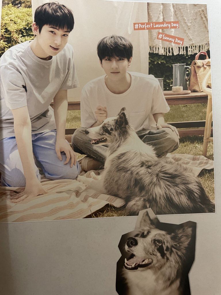 sunwontopia's tweet image. "I would have really liked just doing laundry and taxes with you."🧺💛