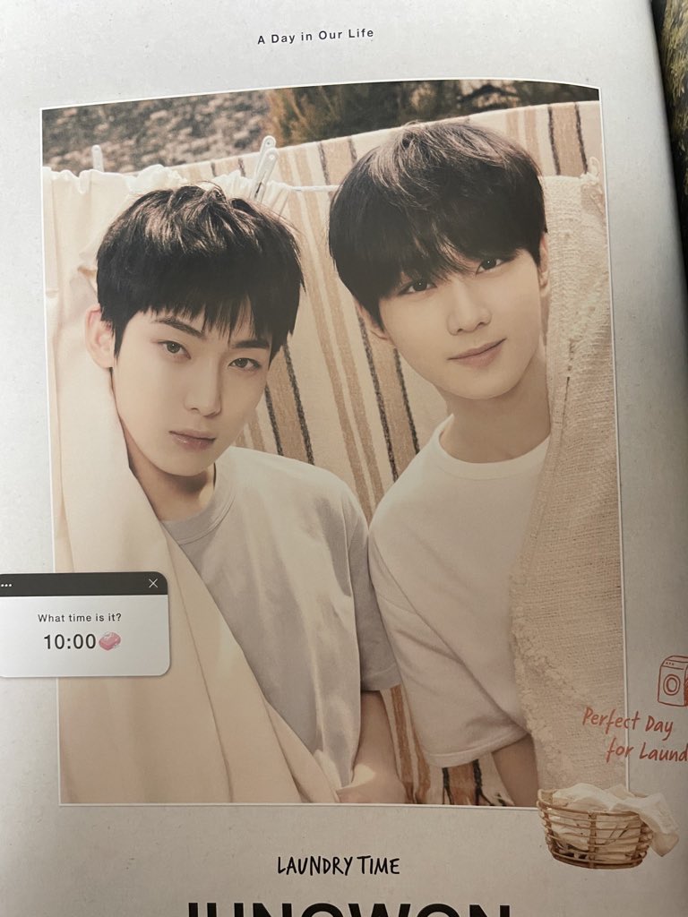 sunwontopia's tweet image. "I would have really liked just doing laundry and taxes with you."🧺💛