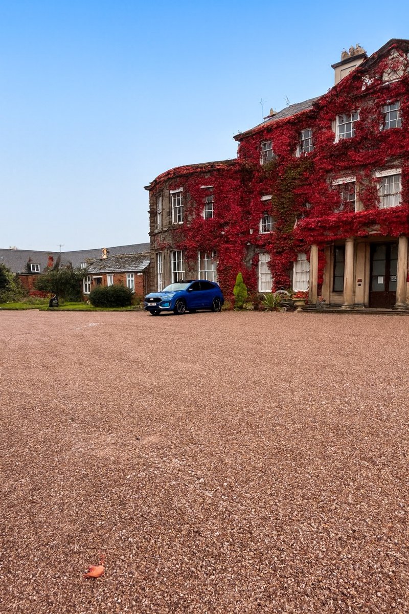 New Gravel Day! ✨
Visitors will notice that the front of <a href="/BishtonHall/">Bishton Hall</a>  has had a mini autumn makeover. We’ve re-gravelled the entire front section of the site as part of our ongoing efforts to maintain and care for Bishton Hall &amp; Gardens.

The refreshed gravel not only looks