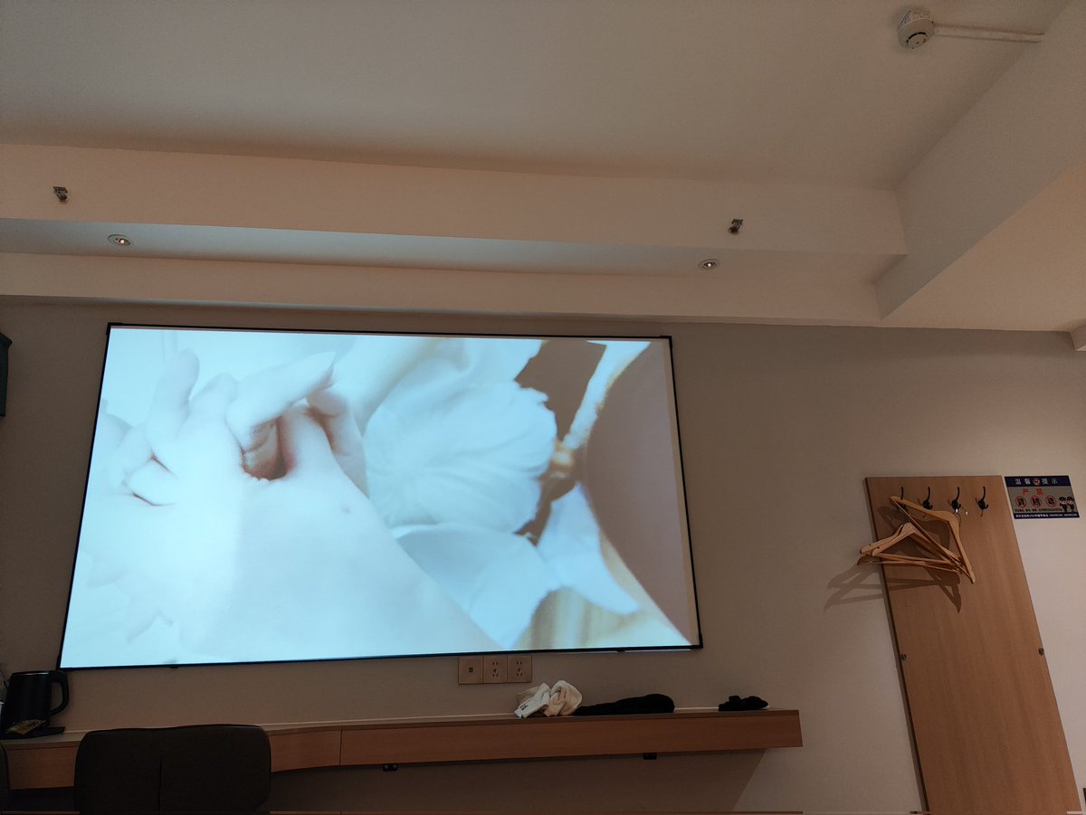 爱莉希雅 tweet media