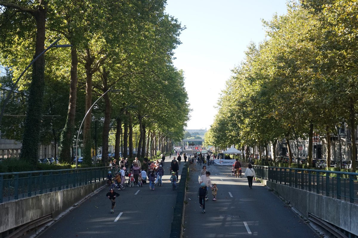 DIMANCHE, C'EST QUARTIER LIBRE 🤩
🚴🏃‍♀️🛴 À vélo, trottinette, rollers, en skate, à pied... Profitez de la voie centrale du Grand Boulevard sans voiture et à votre allure (entre les stations Romarin et Saint-Maur) demain de 9h à 13h.
Toutes les animations : ville-lamadeleine.fr/agenda/quartie…