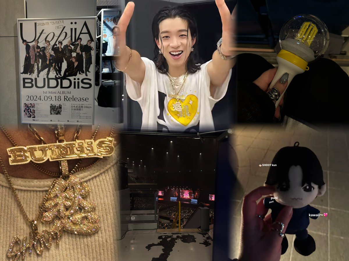 🪽💫 tweet media