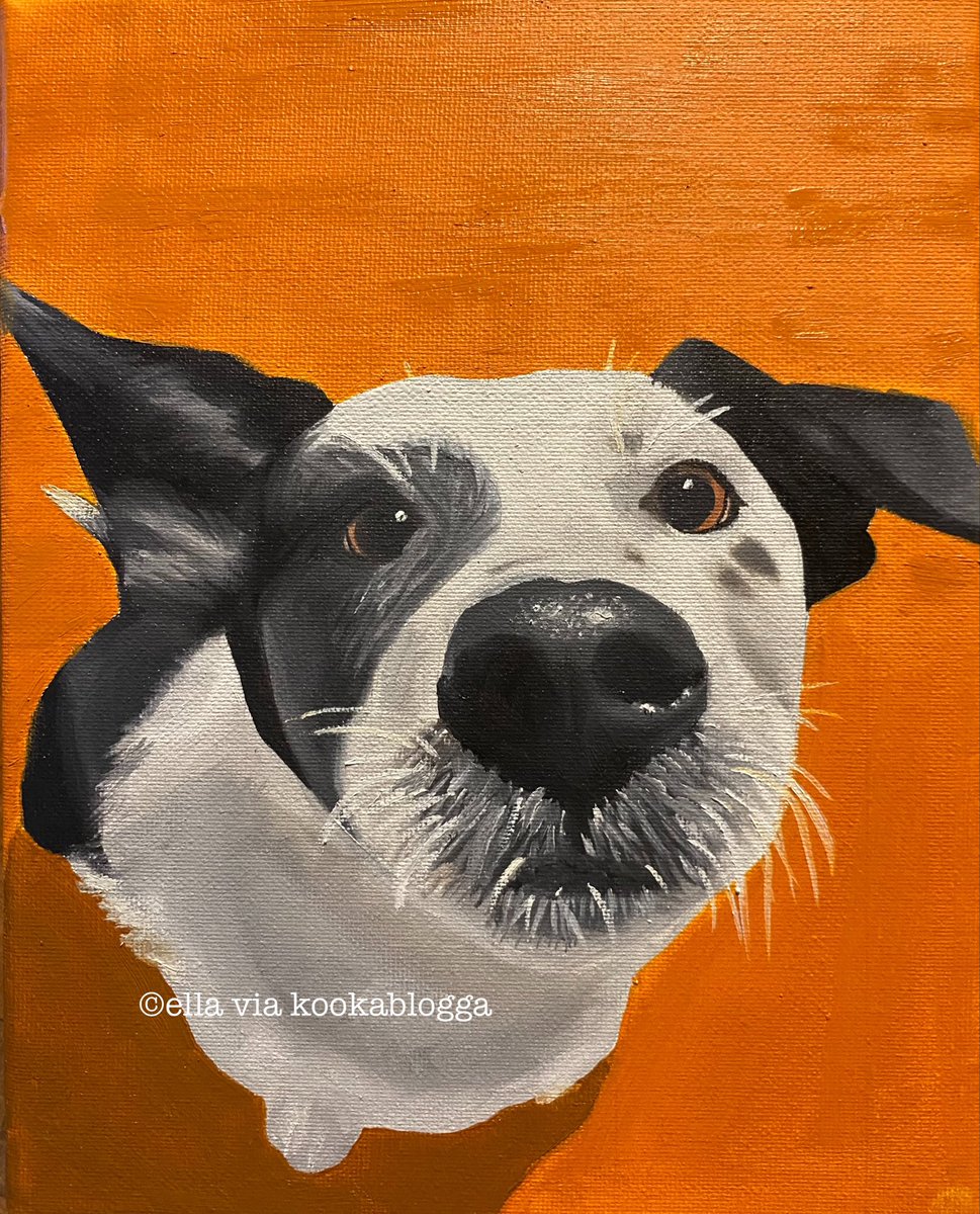 St Mary MacKiller tweet media