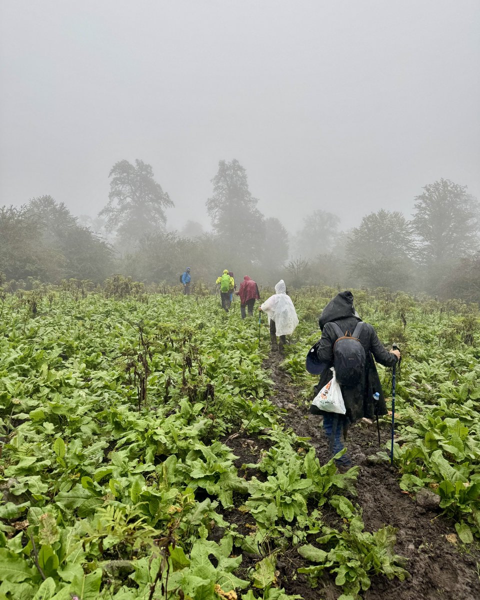 mohammadamin tweet media