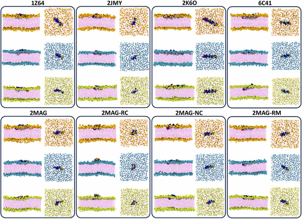 🔗 Unlocking the specificity of antimicrobial peptide interactions for membrane-targeted therapies. doi.org/10.1016/j.csbj…

📚 CSBJ Nanoscience &amp; Advanced Materials: csbj.org/nano

#AntimicrobialPeptides #DrugDiscovery #Biophysics #PeptideTherapeutics <a href="/CSB_Journal/">CSBJ</a>