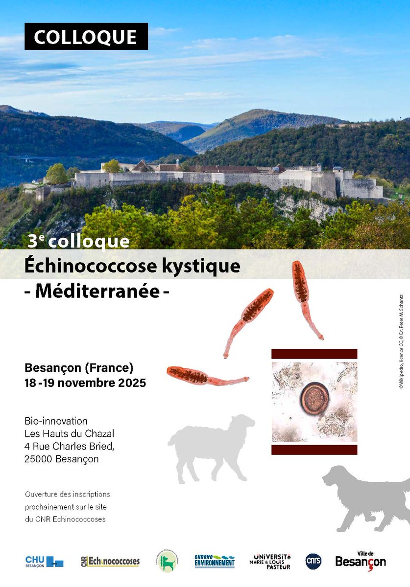SFParasitologie's tweet image. 3eme congrès 𝗘𝗰𝗵𝗶𝗻𝗼𝗰𝗼𝗰𝗰𝗼𝘀𝗲 𝗸𝘆𝘀𝘁𝗶𝗾𝘂𝗲 𝗠𝗲́𝗱𝗶𝘁𝗲𝗿𝗿𝗮𝗻𝗲́𝗲, les 18 et 19 novembre 2025 à Besançon
