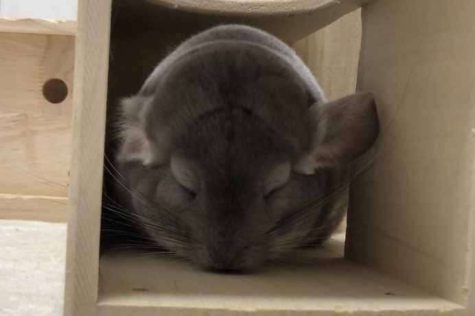 優と想（ゆう&そう） on X