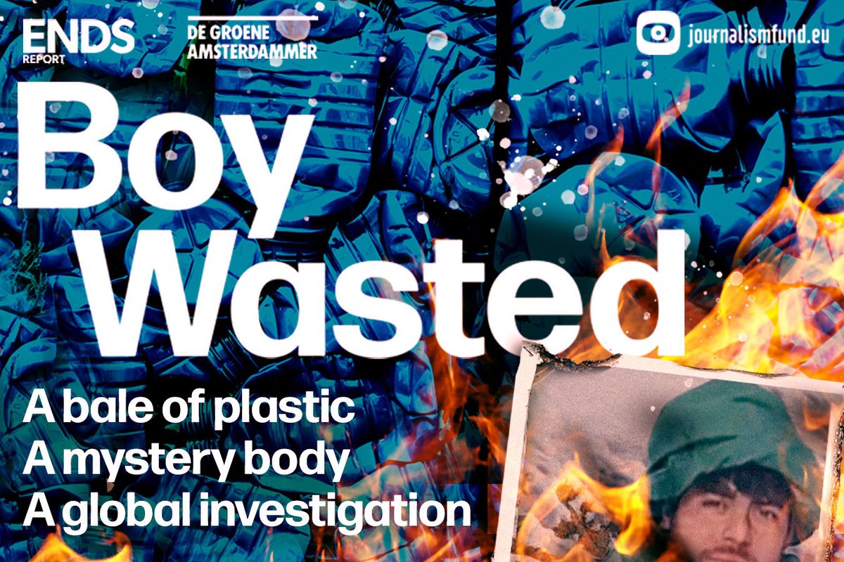 Tess Colley tweet media