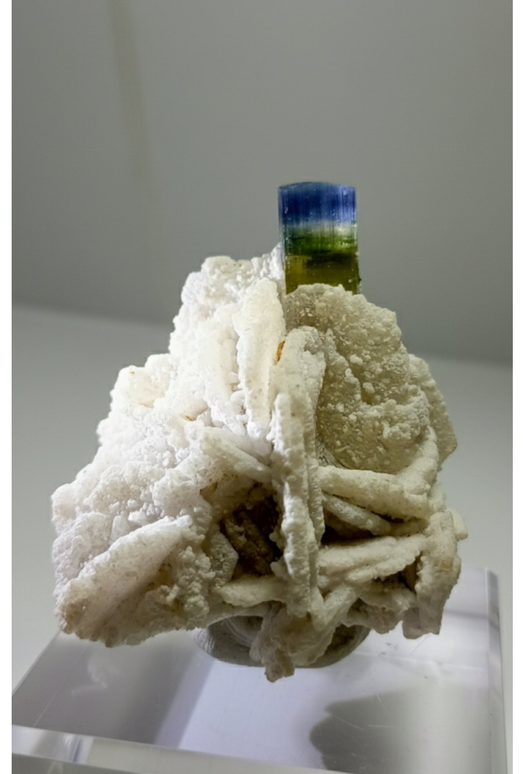 Sara (@sara5932878) / X