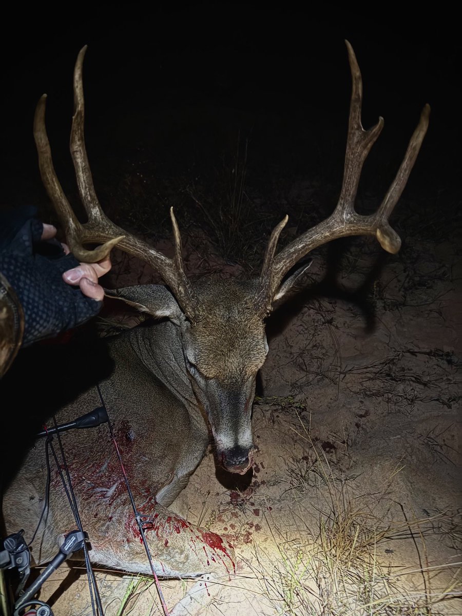 NateHosie's tweet photo. We had us a hunt yesterday afternoon at the Dirty bird! Thank you Lord! #provendeadly https://t.co/EVFlmMBp8a