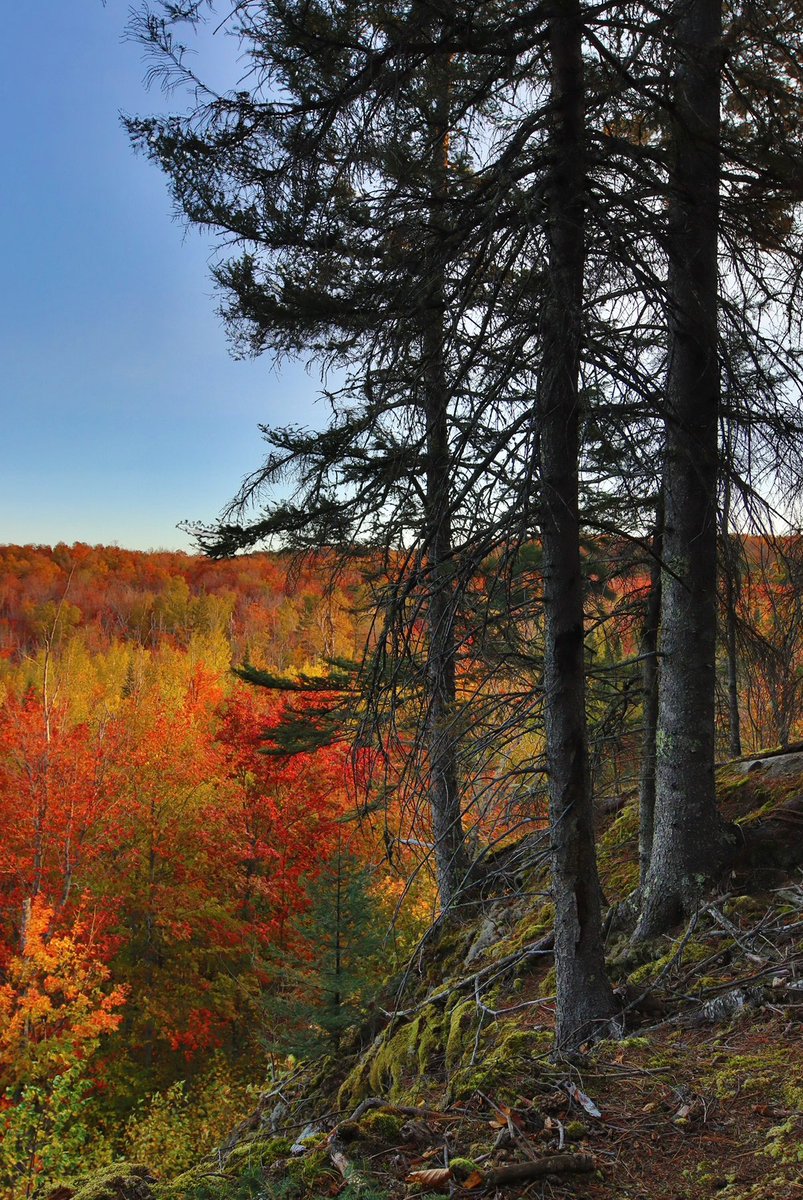 Fall on the North Shore is the best!