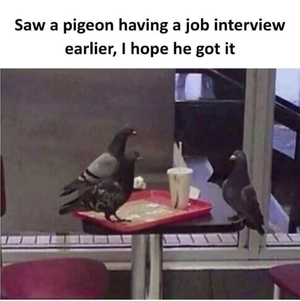 FirstLadyNot's tweet image. He’s now the COO of the company