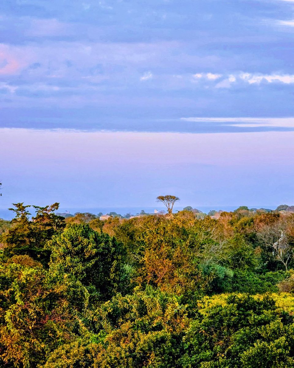 Looking for the perfect spot to leaf peep this fall? 🍂🚢 Spend the day on Block Island taking in the stunning fall foliage and endless ocean views, relax, unwind, and soak it all in! 🌊✨

 #BlockIslandFerry #FallOnBlockIsland #LeafPeeping