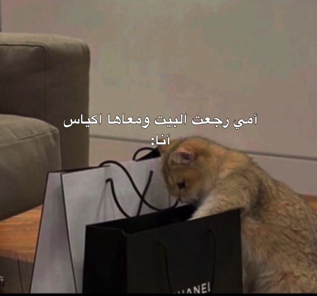 ‏نُونوღ (@11non6) on Twitter photo 