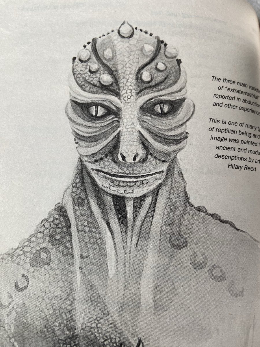 DaniielleAshley's tweet photo. Love a good @davidicke book! 📖🙏🏻❤️ 
#ChildrenOfTheMatrix #UFOx #AncientHistory #ReadTheOldBooks https://t.co/m3y5rixA4w