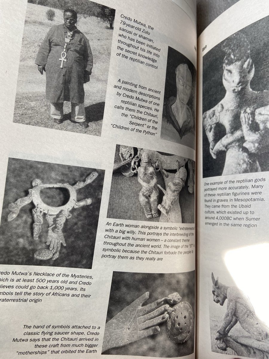 DaniielleAshley's tweet photo. Love a good @davidicke book! 📖🙏🏻❤️ 
#ChildrenOfTheMatrix #UFOx #AncientHistory #ReadTheOldBooks https://t.co/m3y5rixA4w