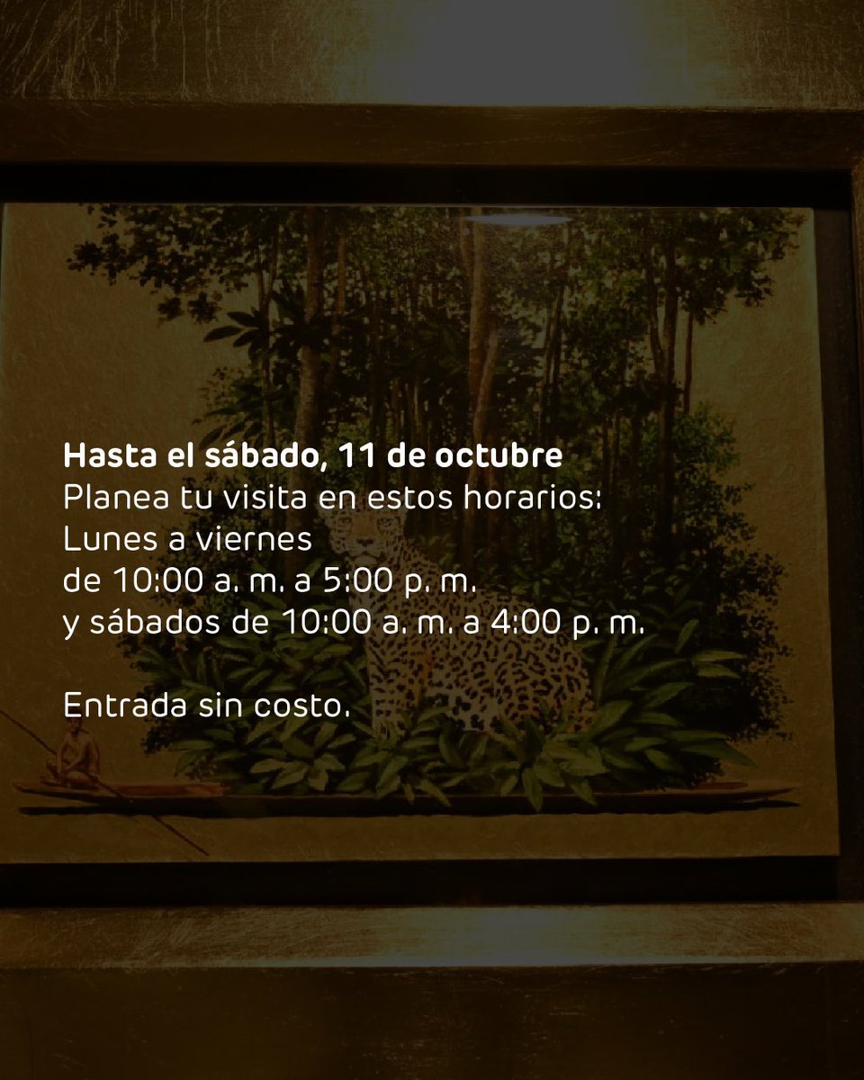 programaARTBO's tweet image. No te pierdas la programación de 𝘖𝘙𝘖, 𝘌𝘴𝘱𝘪́𝘳𝘪𝘵𝘶 𝘺 𝘯𝘢𝘵𝘶𝘳𝘢𝘭𝘦𝘻𝘢 𝘥𝘦 𝘶𝘯 𝘵𝘦𝘳𝘳𝘪𝘵𝘰𝘳𝘪𝘰, exposición del maestro Pedro Ruiz que invita a reconocer la riqueza biocultural de Colombia a través de paisajes, memorias y gestos cotidianos.
La muestra ofrece…