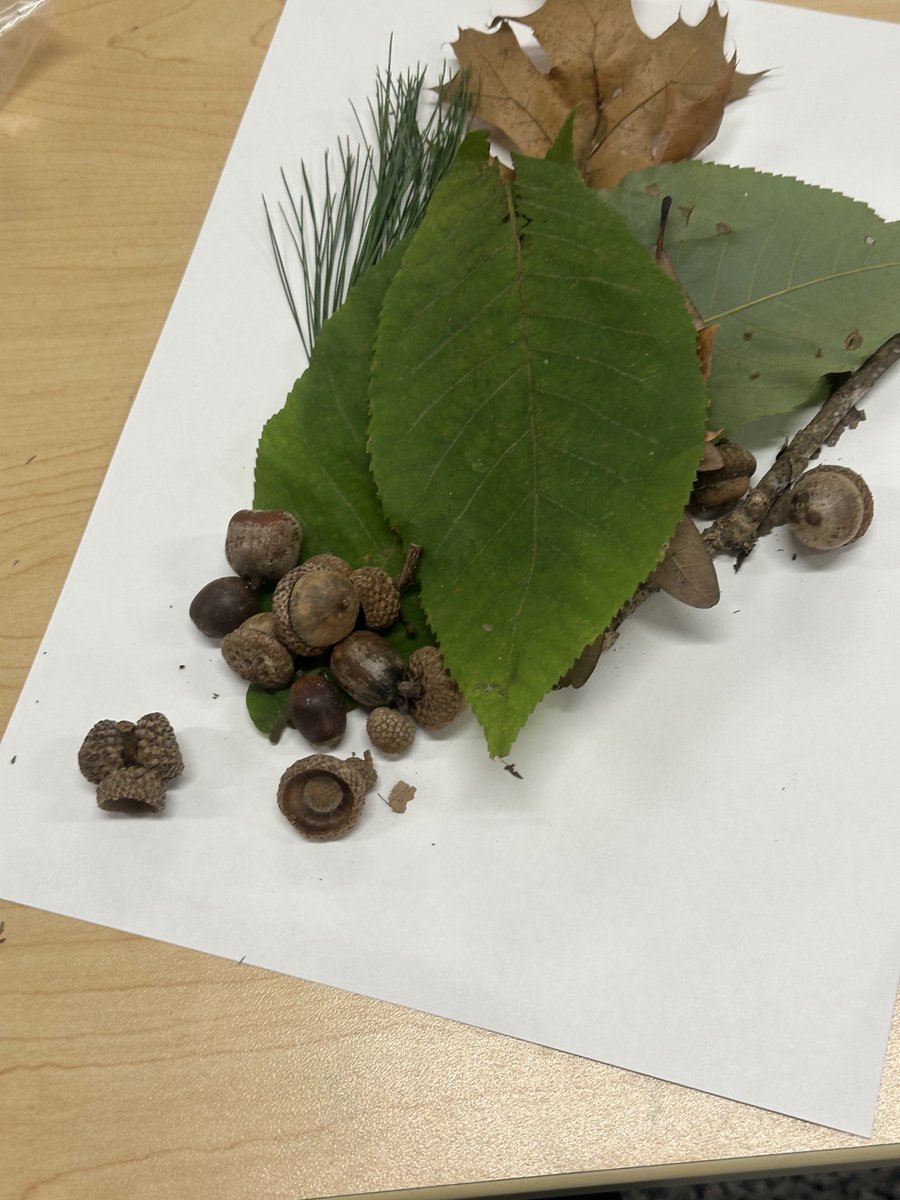 Co-Teaching a STEAM lesson with ⁦<a href="/aTinaMichel/">Tina Michel</a>⁩! ⁦<a href="/JDenius/">Justin Denius</a>⁩ ⁦<a href="/NobleLocal_SD/">Noble Local Schools</a>⁩ ⁦<a href="/dailystem/">dailySTEM Chris Woods</a>⁩