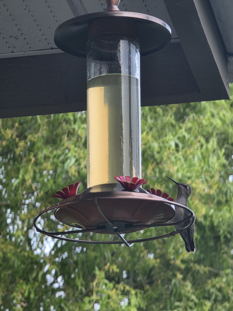 Marieta Marin Bruzos tweet media