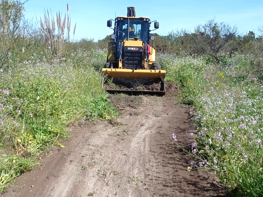 El 29/9 iniciamos el mantenimiento de caminería en Tierra de Humedales (San José).
👉 Facilita el acceso de Bomberos
👉 Actúa como barrera ante el fuego
👉 Abre senderos de educación ambiental
Un trabajo clave junto a @MAmbienteUy, <a href="/sanjosegobierno/">Intendencia de San José</a> , Air Liquide y <a href="/Efice_uy/">Efice_uy</a> .