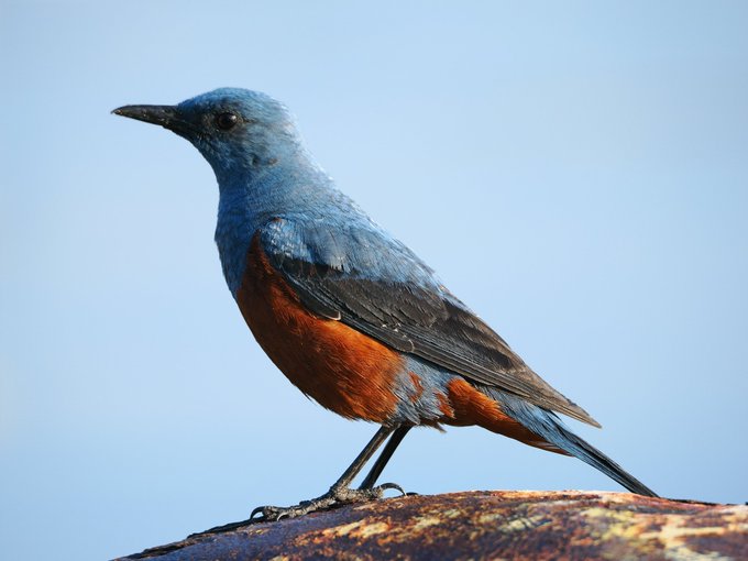 手持ちハイレゾショットは良いぞ。 