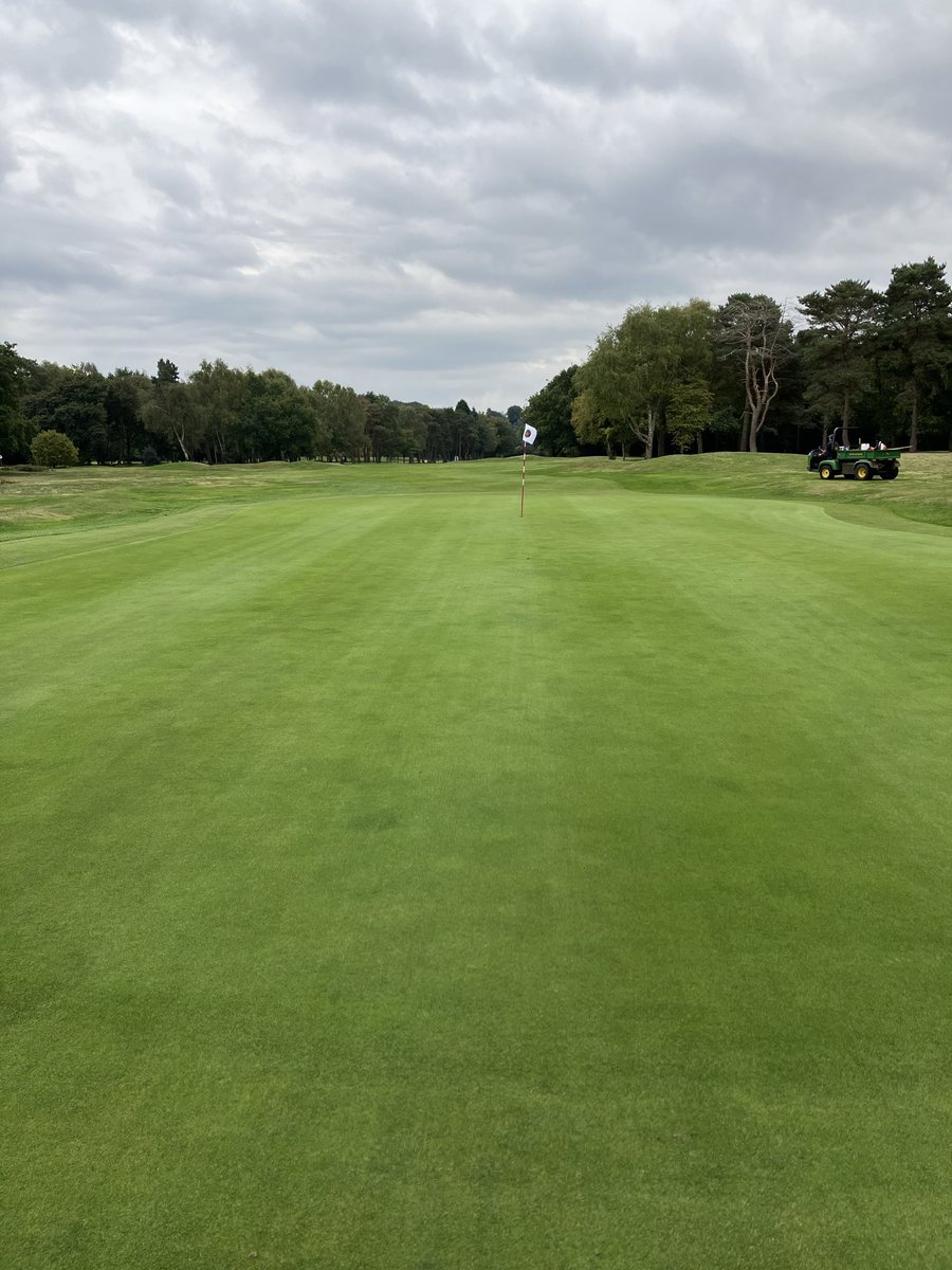 Tom Barnett tweet media