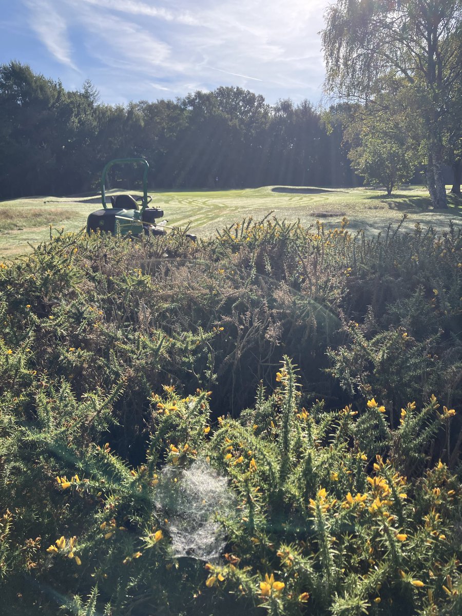 Tom Barnett tweet media