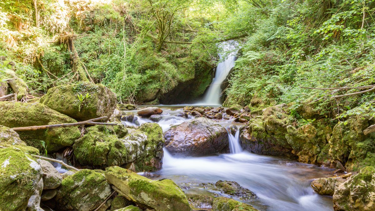 EspAmericaSur's tweet image. Navarra une la Selva de Irati, el desierto de las Bardenas Reales y pueblos como Olite en siete rutas imprescindibles 🌳 Paisajes, patrimonio y turismo activo para propuestas únicas @VisitNavarra 

🎯 Más detalles: tourspain.es/es/b2b/siete-i…

#VisitaEspaña #ThinkYouKnowSpain…
