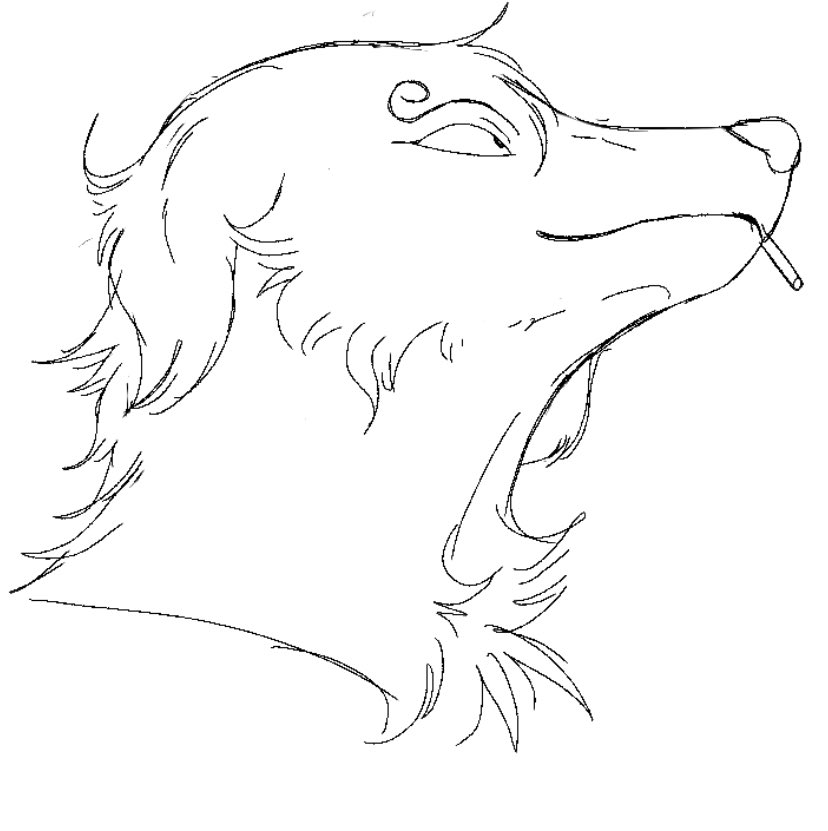Turned him into a dog because I can