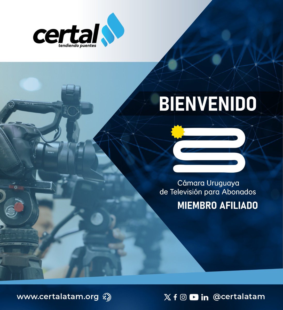 CUTA tweet media