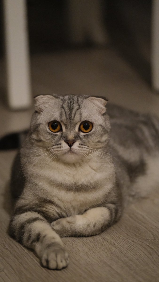 M. Halis DİKMEN 🇹🇷 tweet media