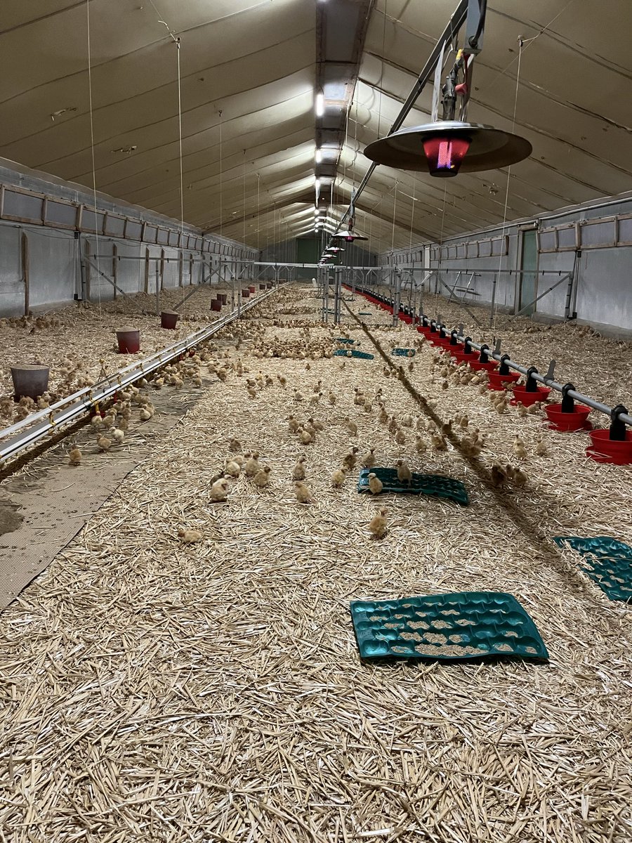 Clément Blrd tweet media