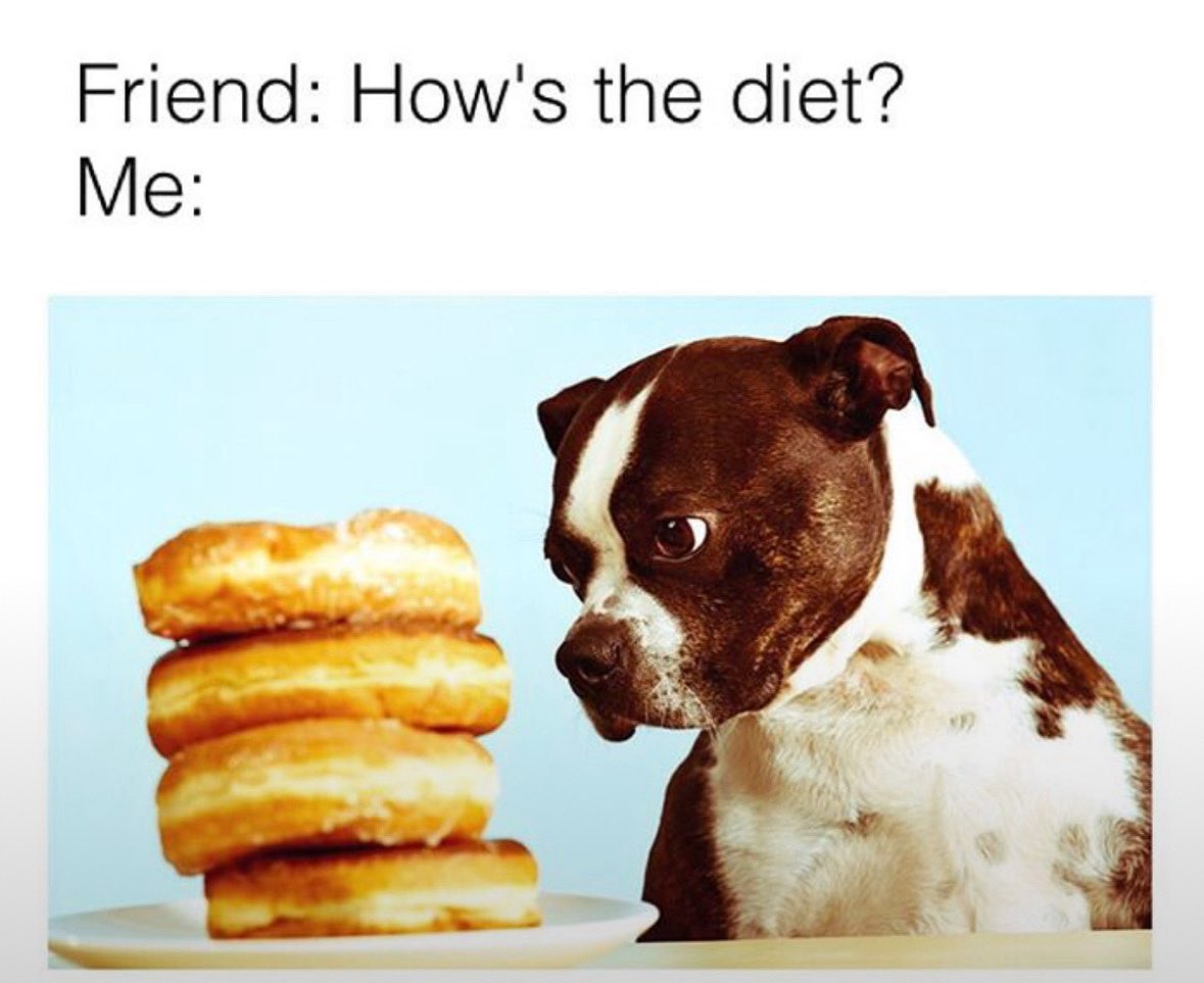 dog.com (@dogproduct) on Twitter photo 