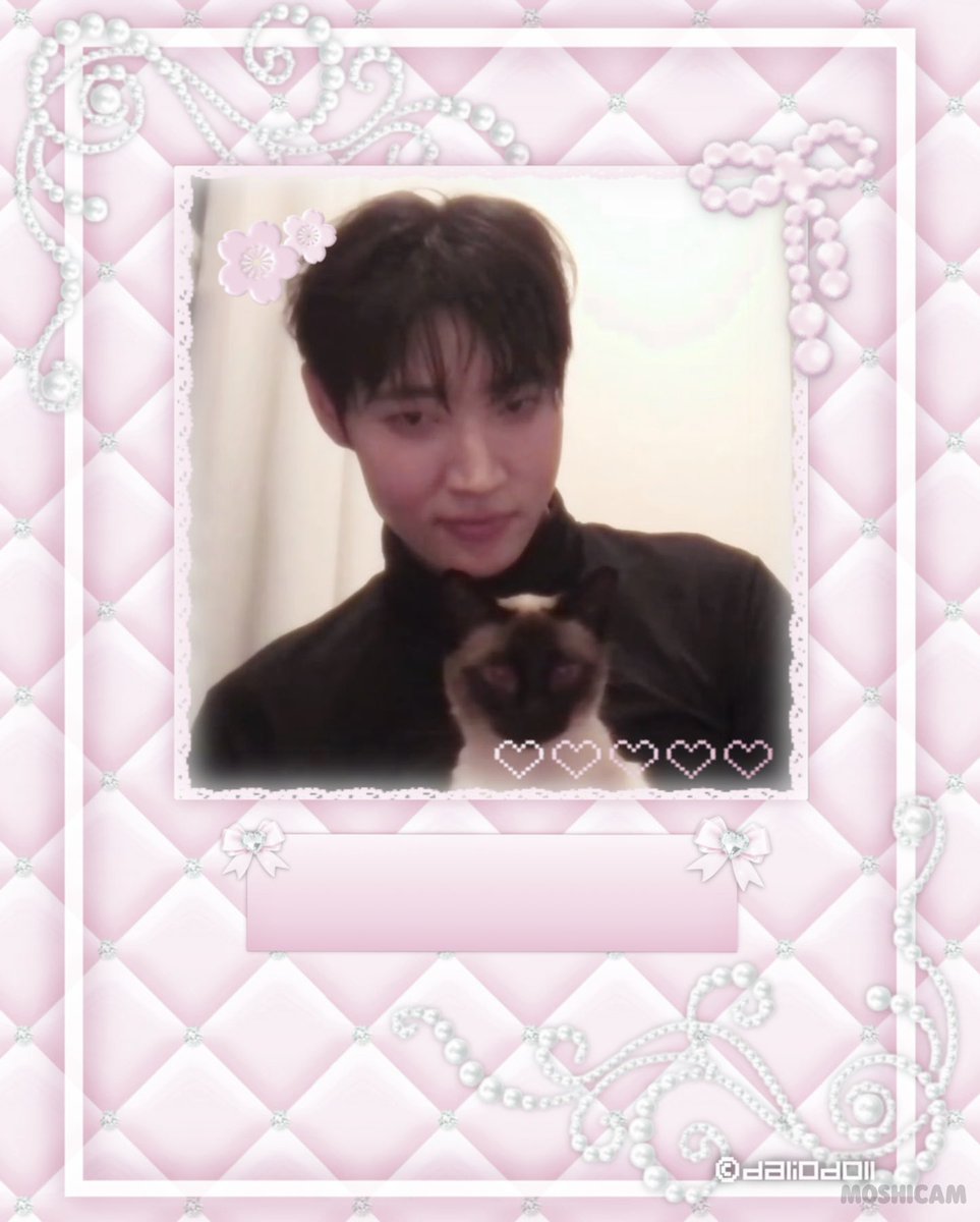 Dreamer + wolfie + girly = (つω`｡)ྀི