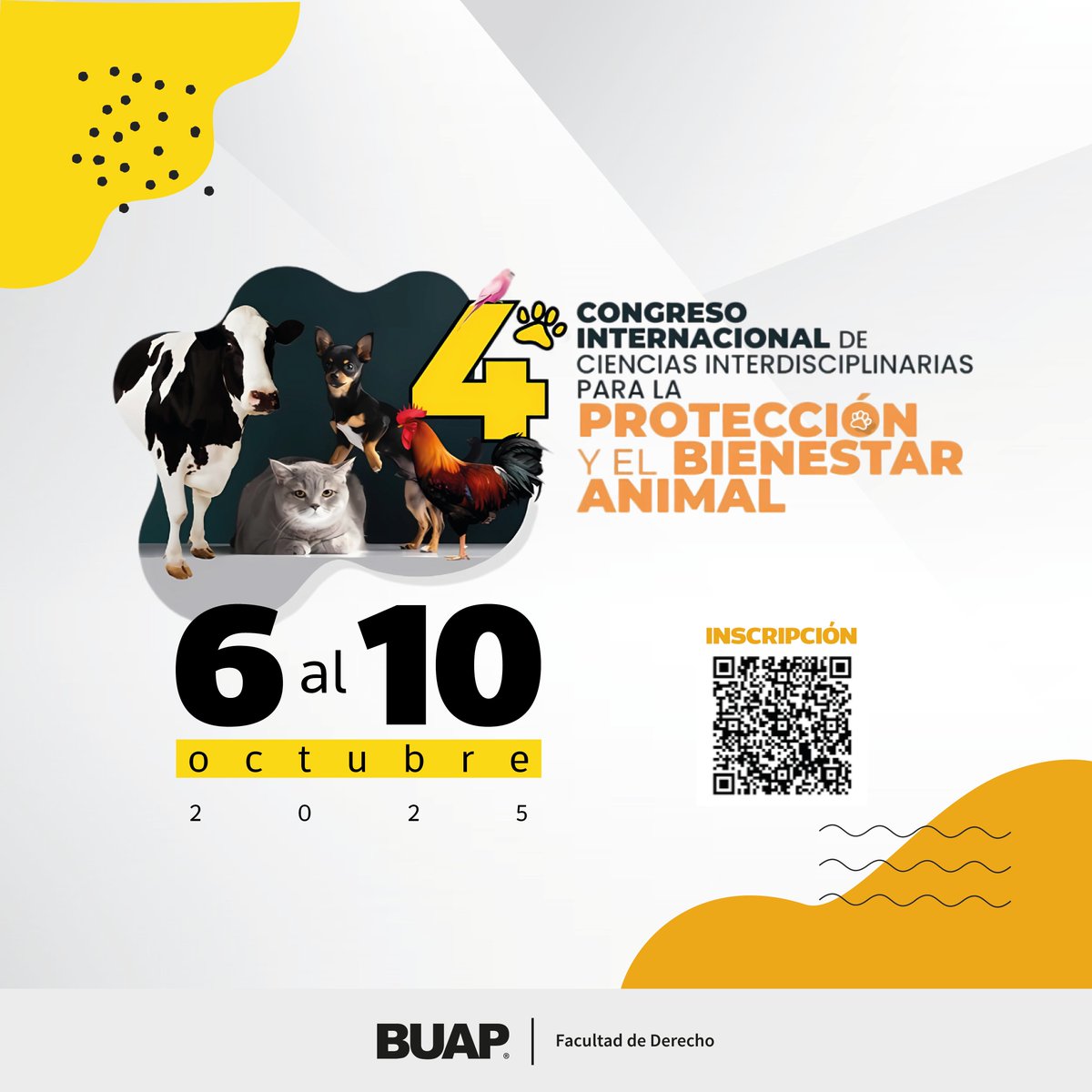 🐾4o Congreso Internacional de Ciencias Interdisciplinarias para la Protección y el Bienestar Animal. 

🗓️Del 6 al 10 de octubre de 2025.

¡Inscríbete!

ow.ly/YuGC50X6nYJ