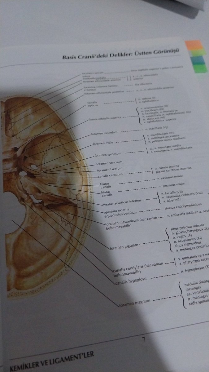 Yusuf şuan kuyuda baya zorda