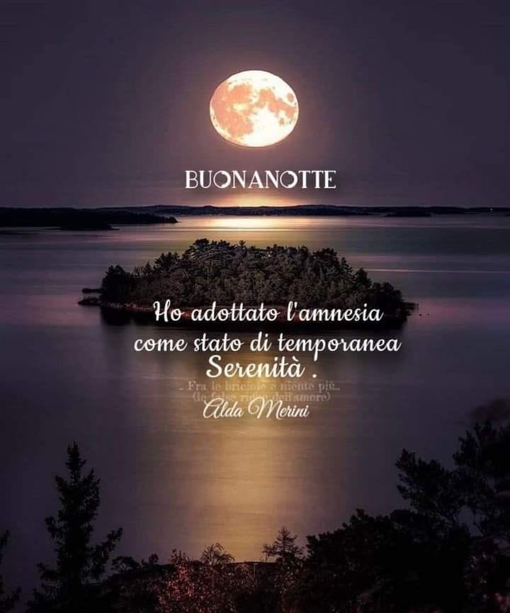 La mia Buona notte per tutti. Frase. emblematica