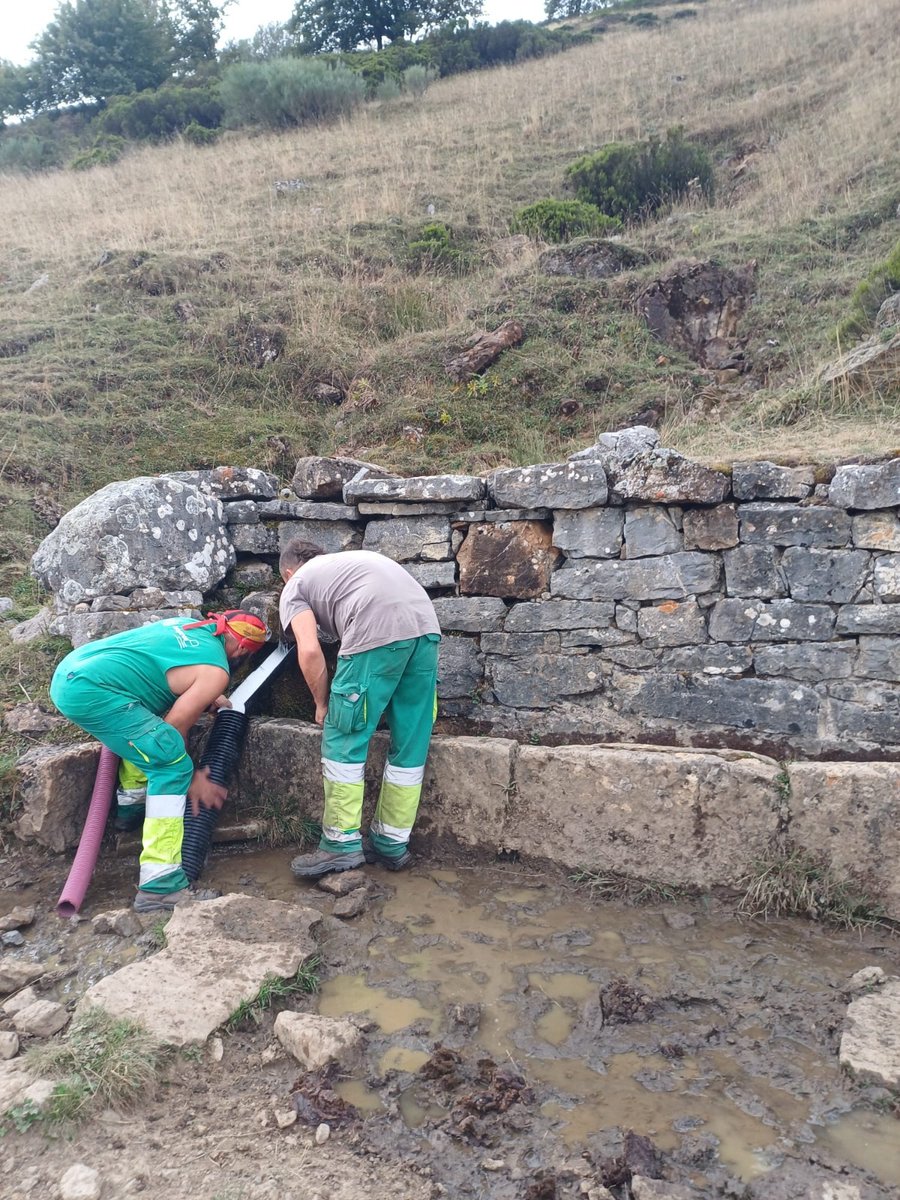 StepsforLIFE2's tweet photo. 💧 En Caloca reparamos un bebedero de ganado.
Además de vital para la ganadería, es un oasis para anfibios, aves e insectos 🐸🦋.
Small actions, big impact on biodiversity 🌿
#StepsForLIFE #Caloca #Biodiversidad #Anfibios https://t.co/WGEQs3QemW
