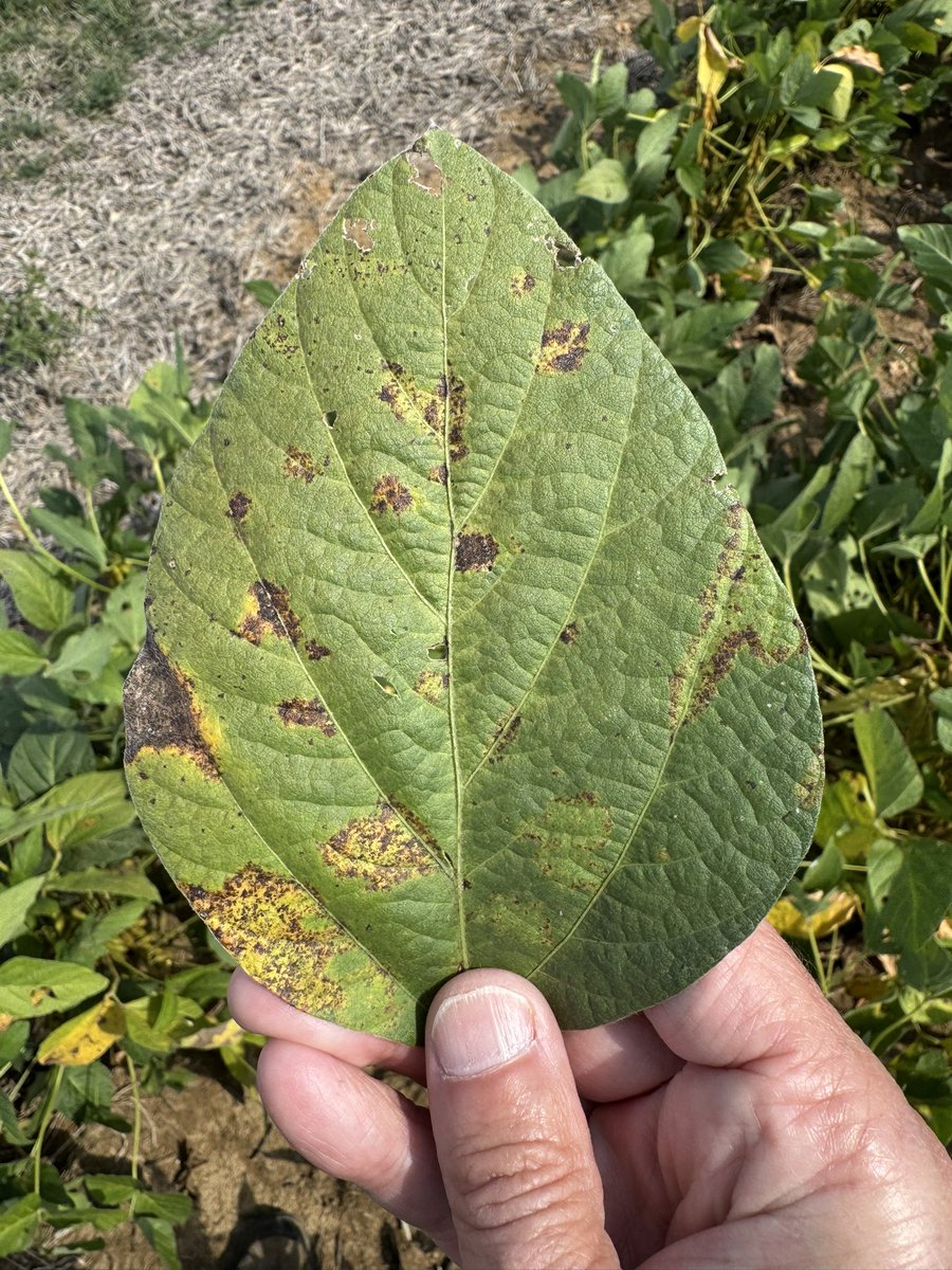 Ed Sikora tweet media