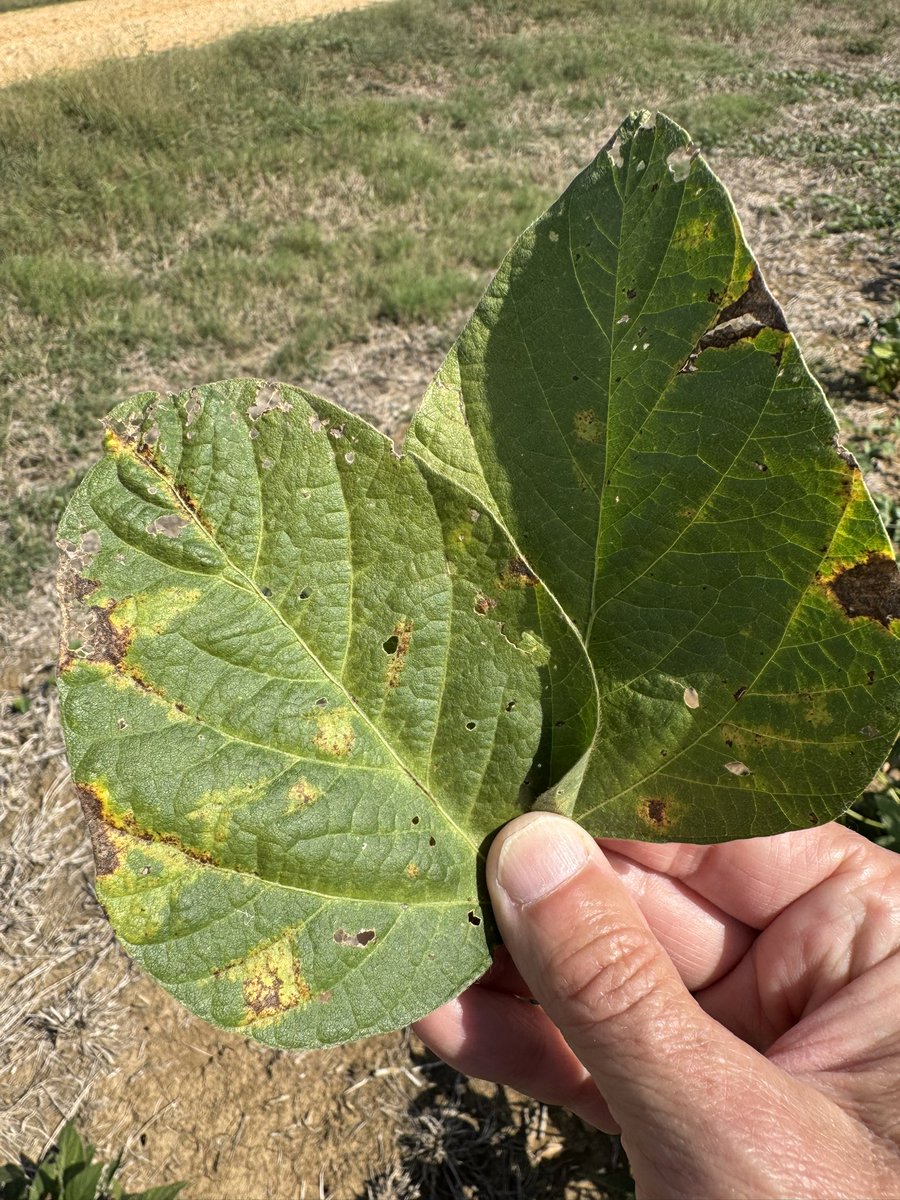 Ed Sikora tweet media