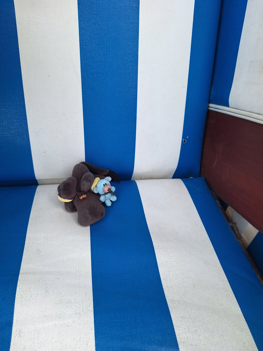 Bärtel am Meer.

Es war sehr windig. Aber im Strandkorb ging es.