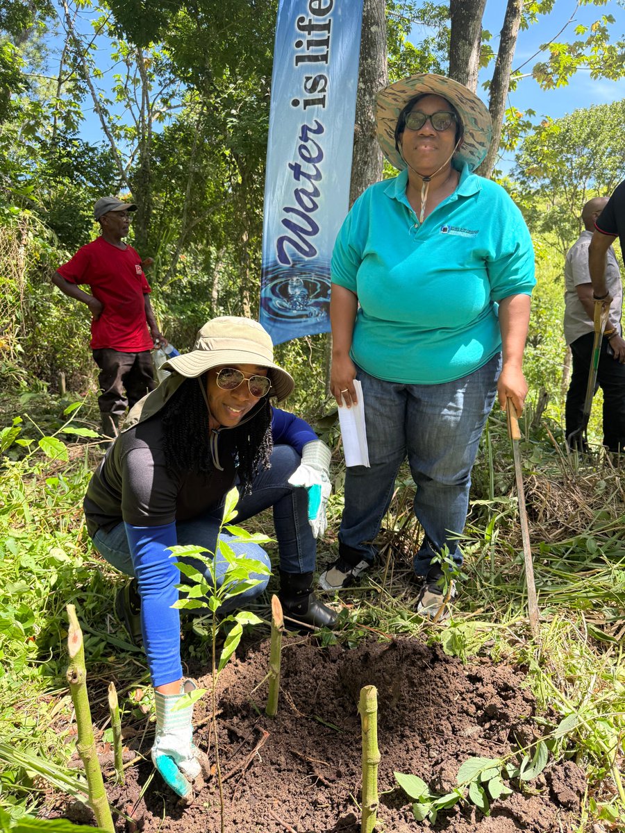 NWCjam's tweet image. In celebration of Tree Planting Day, our team visited the Moravia Water Treatment Plant in Manchester, where we rolled up our sleeves and planted trees to support a greener, more sustainable future. 🌱🌳 #TreePlantingDay #Sustainability #TeamNWC