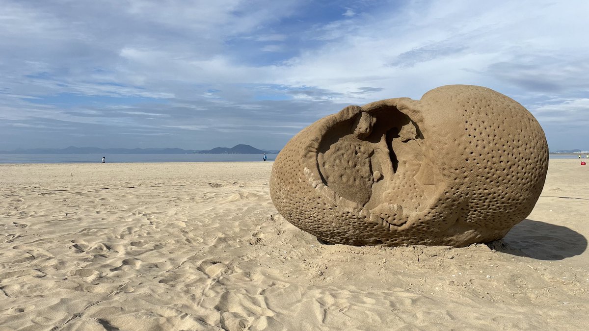 protoCtrl tweet media