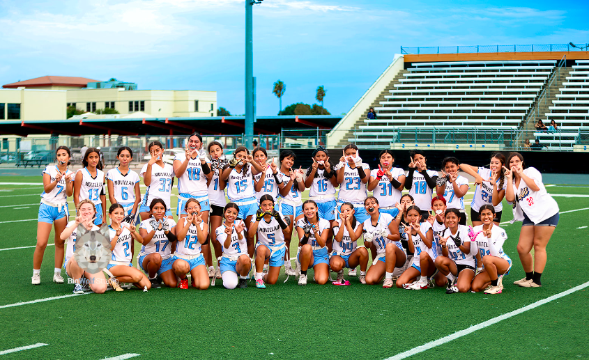 view.gogipper.com/page/3300230