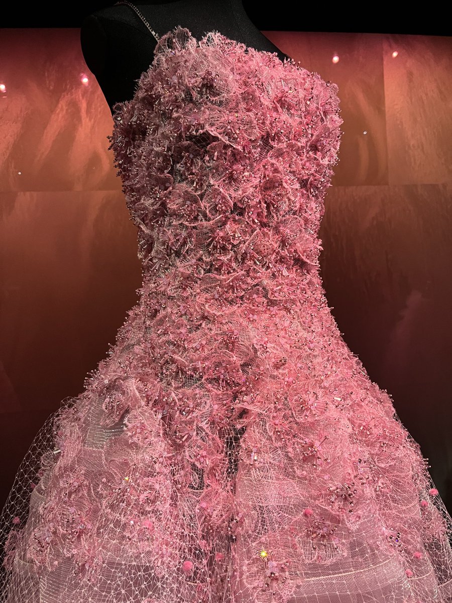 i saw the dress 🥹