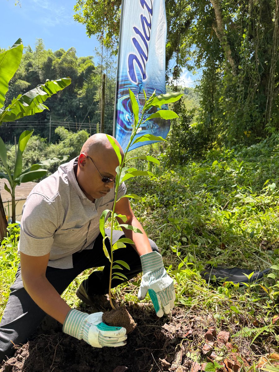 NWCjam's tweet image. In celebration of Tree Planting Day, our team visited the Moravia Water Treatment Plant in Manchester, where we rolled up our sleeves and planted trees to support a greener, more sustainable future. 🌱🌳 #TreePlantingDay #Sustainability #TeamNWC