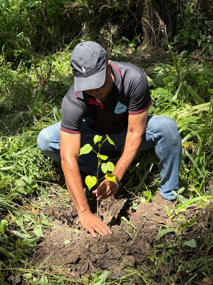 NWCjam's tweet image. In celebration of Tree Planting Day, our team visited the Moravia Water Treatment Plant in Manchester, where we rolled up our sleeves and planted trees to support a greener, more sustainable future. 🌱🌳 #TreePlantingDay #Sustainability #TeamNWC