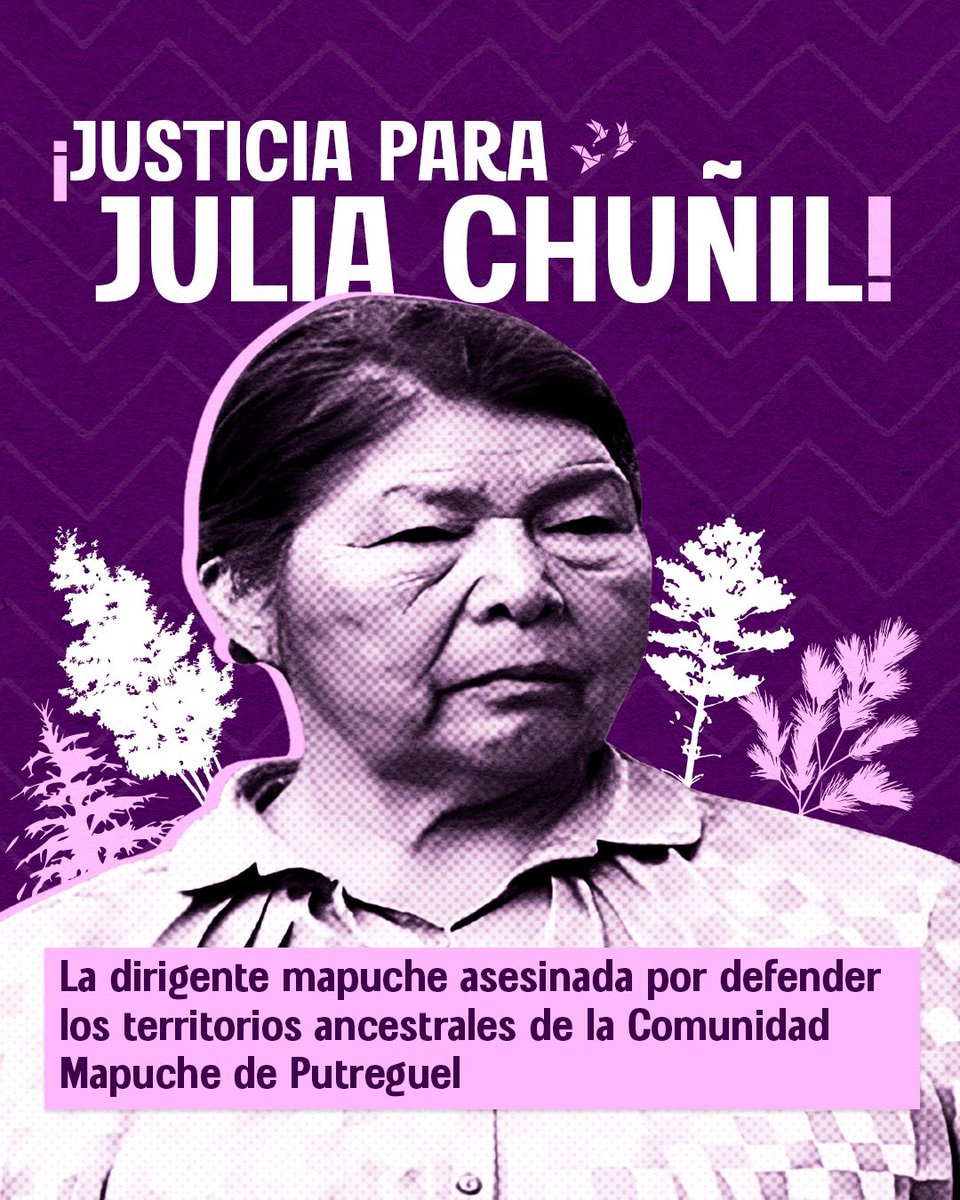 festivalesgt's tweet photo. 🌿✊🏽 ¡Justicia para Julia Chuñil!
La dirigente mapuche, madre de cuatro hijos y presidenta de la Comunidad de Putreguel en Máfil (Chile), fue asesinada por defender los territorios ancestrales de su pueblo frente a empresas forestales y agroindustriales.

#JusticiaParaJuliaChuñil #PuebloMapuche #DefensoresAmbientales #NiUnaMenos