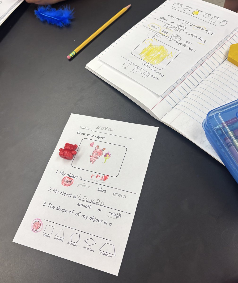 Our <a href="/NISDVillarreal_/">Villarreal ES</a> littles identified color, shape, and texture of different objects. They also collaborated in pairs to classify objects based on different physical properties. #kindersmarties